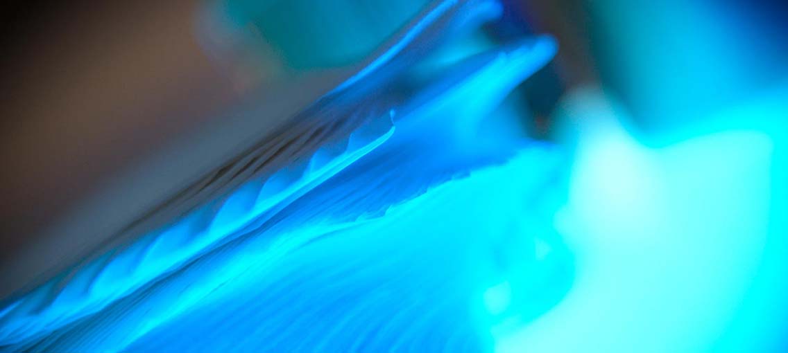 Tresenwerk Empfehlungen 